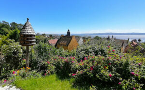 The Culross Palace 17th century gardens.